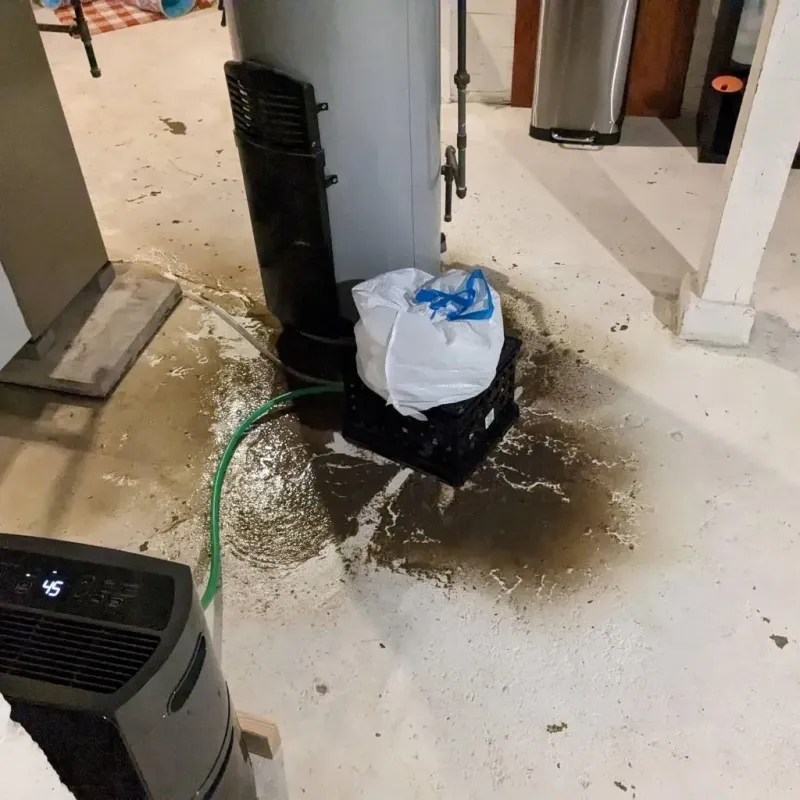 Sewage Backup Cleanup Service in Morovis, PR